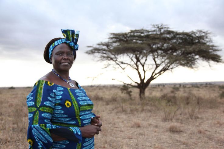 Wangari Maathai: la mujer que sembró árboles y revolución
